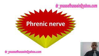 Phrenic nerve  Roots  Course  Branches  Injury  Hiccough  Why left is longer  Referred pain [upl. by Gross353]