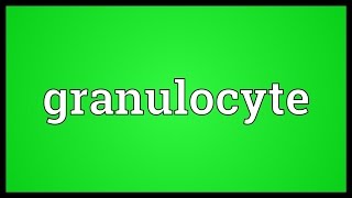 Granulocyte Meaning [upl. by Norraf242]