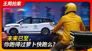 未来已至，你跑得过萝卜快跑吗？｜无人驾驶｜萝卜快跑｜武汉 ｜网约车｜人工智能｜百度｜李彦宏｜马斯克｜特斯拉｜出租车司机｜王局拍案20240711 [upl. by Kaliski970]