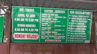 Entry Timings And Tickets For Nehru Zoological Park Hyderabad [upl. by Christianity]