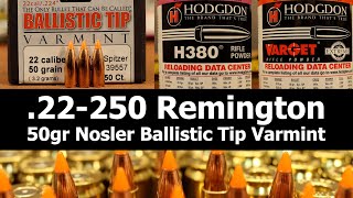 22250 Rem  50gr Nosler BT with Varget amp H380 [upl. by Traggat]