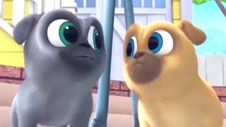 Puppy Dog Pals The GoLong Retriever best moments Cartoon 10 [upl. by Nogem861]