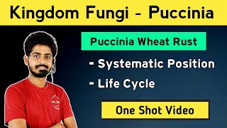 Puccinia Fungi  Systematic Position  Puccinia Graminis tritici Life Cycle  One Shot Video [upl. by Rebmeced]