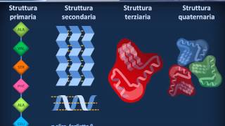 Citologia 08  Proteine [upl. by Iad]