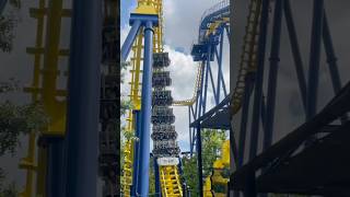 Nighthawk  Carowinds  Vekoma Flying Dutchman [upl. by Rugg355]