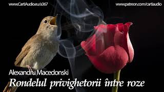 Rondelul privighetorii intre roze  Alexandru Macedonski [upl. by Aihsit]