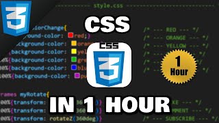 Learn CSS in 1 hour 🎨 [upl. by Agatha867]