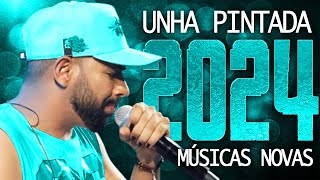 UNHA PINTADA 2024  20 MÚSICA NOVAS  CD NOVO  REPERTÓRIO ATUALIZADO [upl. by Alletse671]