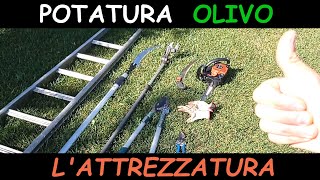 Potatura olivo  L ATTREZZATURA IDEALE [upl. by Einaj]