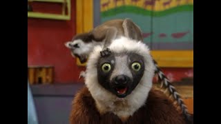 Closing to Zoboomafoo Creature Neighbors 2012 Sprout Broadcast Recreation [upl. by Ellerihs936]