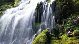 Beautifull HD Waterfall Wallpapers [upl. by Salhcin382]