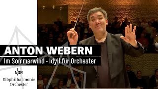 Webern Im Sommerwind  Idyll für Orchester  Alan Gilbert  NDR Elbphilharmonie Orchester [upl. by Esinahs592]