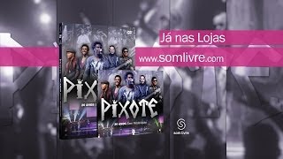 Comercial Som Livre  CD e DVD quotPixote 20 Anos Sem Moderaçãoquot [upl. by Naejeillib88]