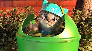 Little Kitten Preschool  My Favorite Cat  Videos For Kids [upl. by Circosta508]