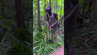 INCROYABLE CE QUIL EST POSSIBLE DE FABRIQUER DANS LA FORÊT AMAZONIENNE EN 5 MIN [upl. by Skip231]