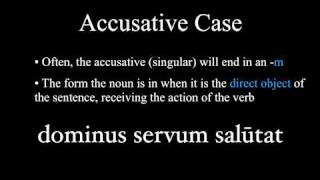 The Nominative and Accusative Cases [upl. by Bazluke]