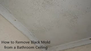 The Best Way to Clean Shower Grout Mould and Mildew [upl. by Ylrebmek]