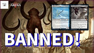 BAN ANNOUNCEMENT IN STANDARD amp MODERN  MTG  Magic the Gathering  MTGA [upl. by Wallis]