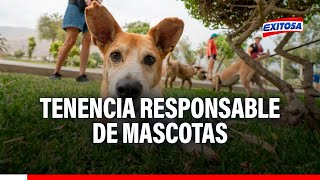 🔴🔵Patitas Felices Tenencia responsable de mascotas [upl. by Enrobso]