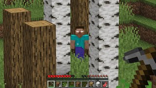 I found Herobrine in Minecraft Survival [upl. by Ottillia]