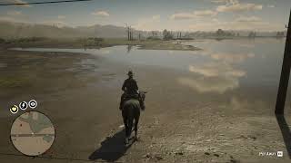 38 Sandhill Crane location RDR2 [upl. by Ledarf]