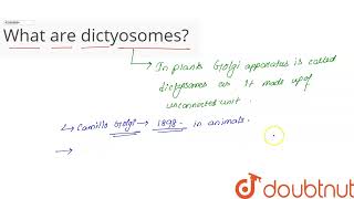 What are dictyosomes  CLASS 11  CELL  THE UNIT OF LIFE  BIOLOGY  Doubtnut [upl. by Blumenfeld]