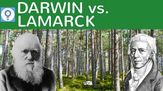 Darwin vs Lamarck  Evolutionstheorie von Lamarck und Darwin im Vergleich  Evolution 8 [upl. by Donielle472]