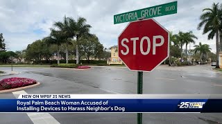 Royal Palm Beach woman charged with animal cruelty after allegedly placing several ultrasonic dog [upl. by Hadden]