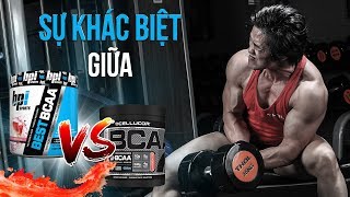 Phân tích và chọn lựa Best BCAA và Cor BCAA  THOL [upl. by Domel277]