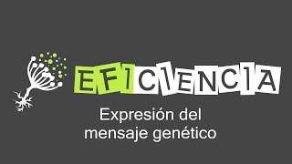 EXPRESIÓN DEL MENSAJE GENÉTICO Genes Transcripción Traducción y Acción Proteica [upl. by Enerod713]