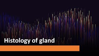 Mammary Gland  Clinical Anatomy [upl. by Norrad852]