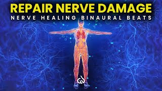 Repair Nerve Damage Binaural Beats for Nerve Regeneration Nerve Healing Frequency [upl. by Onej]