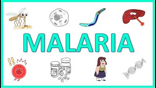 Malaria  Causes Pathogenesis Signs and Symptoms Diagnosis Treatment and Prevention [upl. by Keyes898]