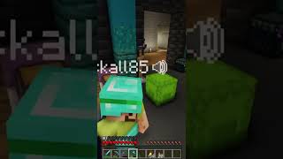 Iskall Goes Insane minecraft hermitcraft gaming funny hermits iskall85 stressmonster [upl. by Juana]