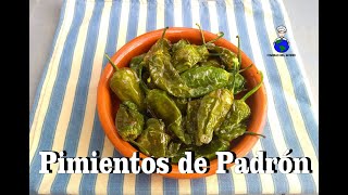 Como hacer Pimientos de Padrón  Unos pican y otros no  Tapa  Receta Gallega  Cocina Española [upl. by Winne982]