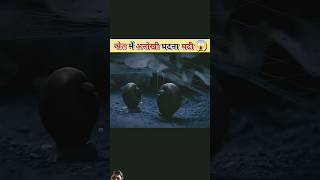 amazingfacts factsinhindi story interestingfacts amazing shortsfeed facts smartgadgest [upl. by Enyluqcaj]