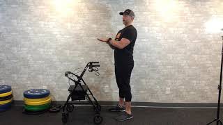 CEREBELLUM TRAINING  PT4 PELVIC TILT  Exercises for Multiple Sclerosis [upl. by Lardner]