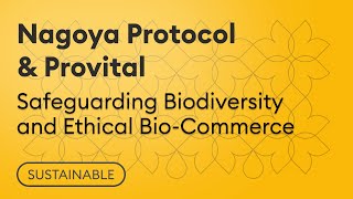 Nagoya Protocol amp Provital 🤝 Safeguarding Biodiversity and Ethical BioCommerce [upl. by Ader]