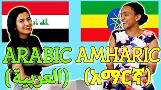 Similarities Between Arabic and Amharic [upl. by Aicaca126]