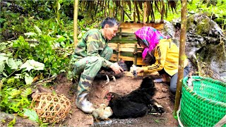 The man and the woman built a coop and bought mother hen to raise while the child went to school [upl. by Mutz]