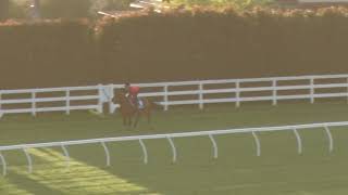 15 October Gallops Gallop 3 [upl. by Whitten]