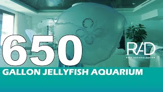 650 GALLON JELLYFISH AQUARIUM IN POMPANO BEACH FLORIDA  CUSTOMMADE LIVE CORAL REEF AQUARIUMS [upl. by Vish]