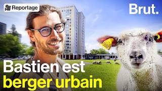 À Lyon Bastien et son troupeau ramènent lagriculture au cœur des quartiers [upl. by Malchus]