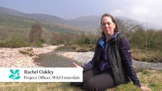 Wild Ennerdale in the Lake District [upl. by Ban]