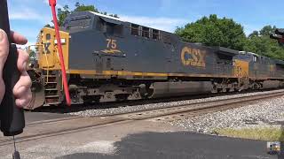 CSX Trains from Sterling Ohio June 15 2024 [upl. by Adnoel]