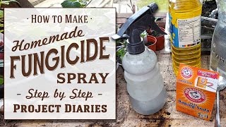 ★ How to Make Cheap Homemade Fungicide Complete Step by Step Guide [upl. by Amitak]