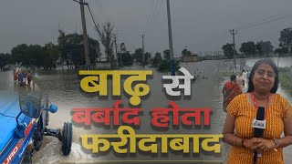 Faridabad Flood News Today बाढ़ से बर्बाद होता फरीदाबाद देखिए ग्राउंड रिपोर्ट  Haryana News Live [upl. by Ardnekan262]