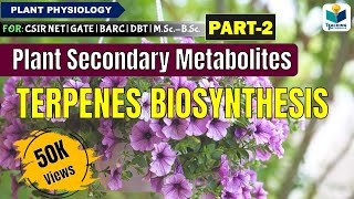 PLANTS SECONDARY METABOLITES PART2 TERPENES BIOSYNTHESIS CSIR NET [upl. by Colb]