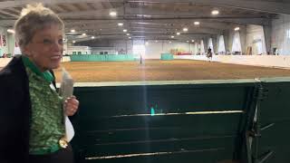 WWU Equestrian Showcase Saddleseat Lesson [upl. by Demitria]