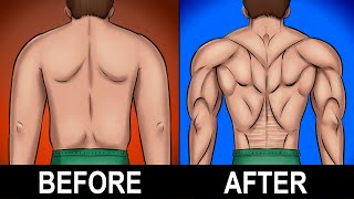 7 BEST Exercises for a Stronger Lower Back [upl. by Garling529]